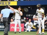 　４回、代打にロハスを告げる矢野監督（撮影・飯室逸平）