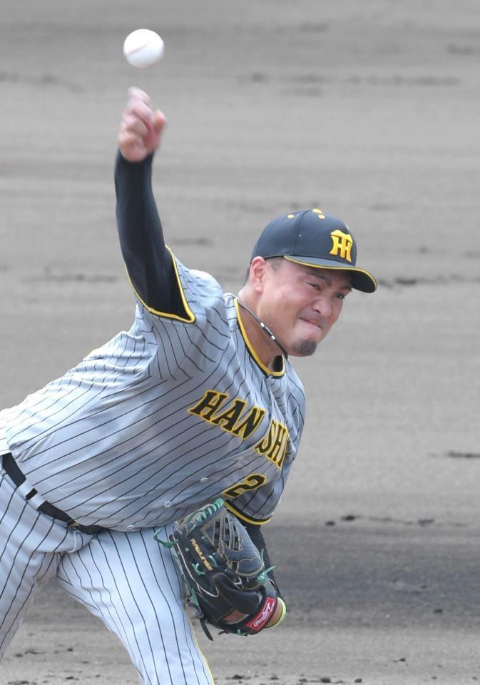 　力投する秋山（撮影・北村雅宏）