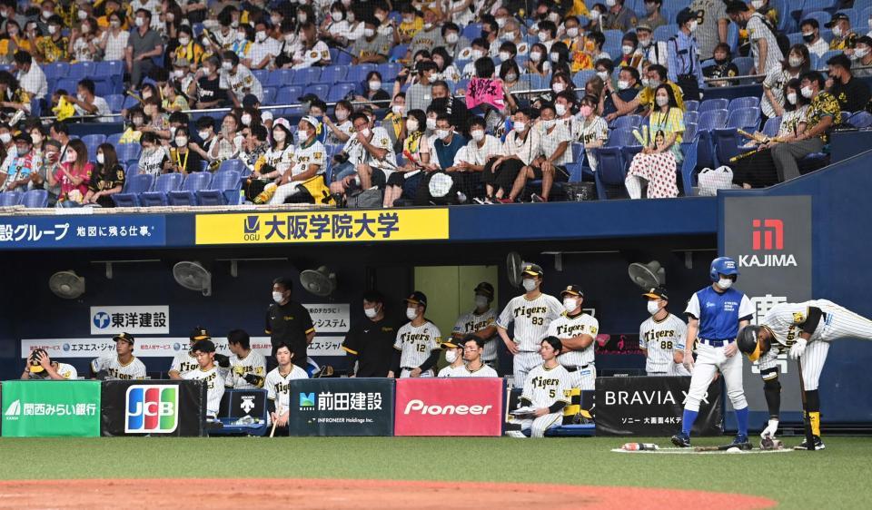 　意気消沈の阪神ベンチ（撮影・飯室逸平）