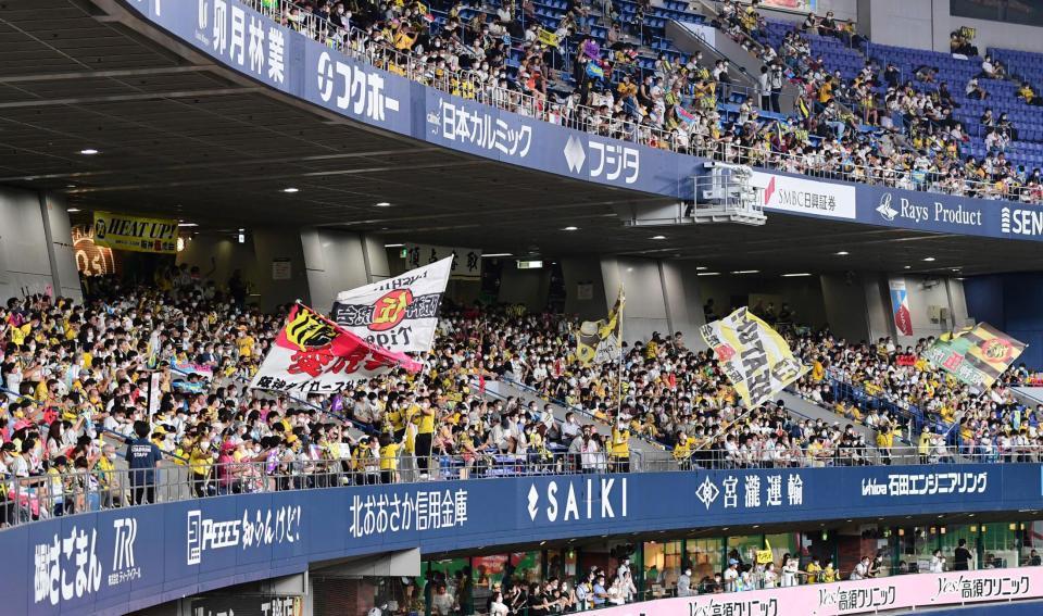 　７回、応援する阪神ファン（撮影・山口登）