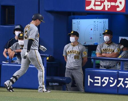 　６回、大山は併殺に倒れベンチに戻る（撮影・山口登）