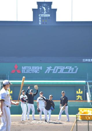 　久々の甲子園で練習する阪神先発投手陣。（奥左から）才木、西勇、伊藤将、青柳、西純（撮影・吉澤敬太）