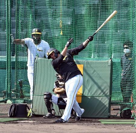 １軍に合流し、打撃練習するマルテ（撮影・山口登）