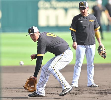 三塁でノックを受ける佐藤輝。右は梅野（撮影・吉澤敬太）