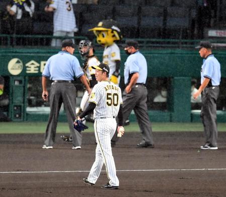 試合開始直前、雨が強くなりベンチに戻る青柳（撮影・山口登）