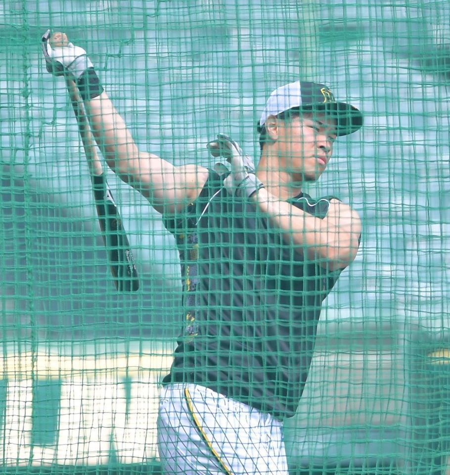 早出で打撃練習する佐藤輝（撮影・吉澤敬太）