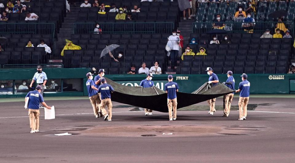 雨が止み、試合開始に向けグラウンドの整備を行う阪神園芸