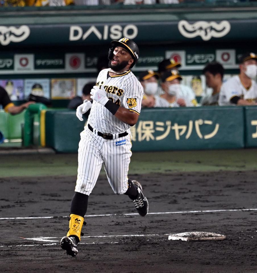 ４回、ロハスは左飛に倒れる（撮影・山口登）