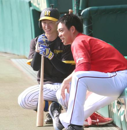 　広島・秋山（右）と話をする阪神・近本（撮影・田中太一）