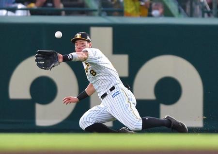 　２回、坂倉将吾の右飛を好捕する佐藤輝（撮影・吉澤敬太）