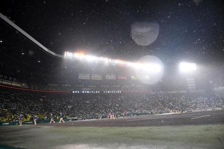 　雨が強まる甲子園（撮影・飯室逸平）