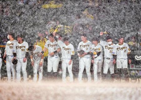 　大雨で６回コールドとなり、土砂降りの中あいさつする大山（３）、近本（５）、佐藤輝（８）ら阪神ナイン（撮影・吉澤敬太）