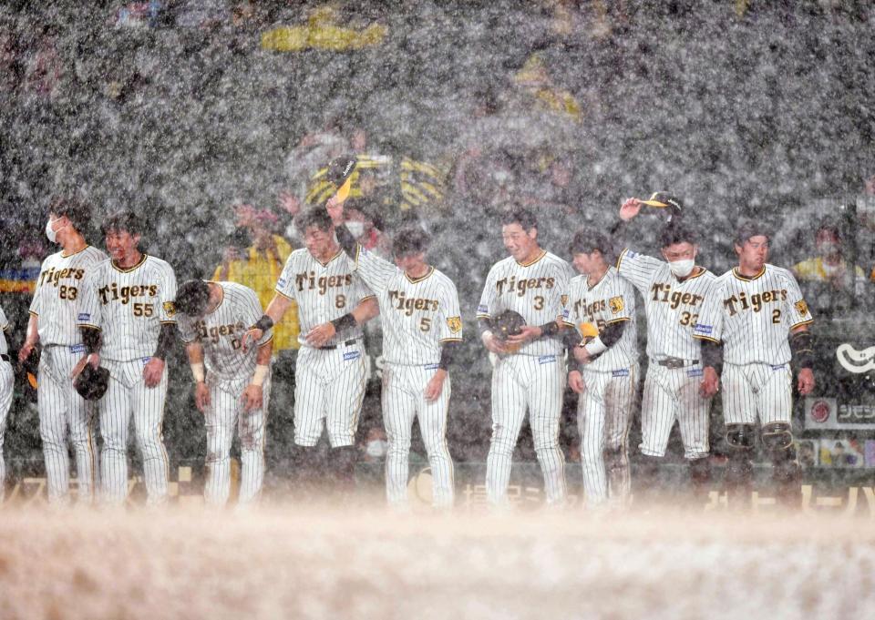 　大雨で６回コールドとなり、土砂降りの中あいさつする大山（３）、近本（５）、佐藤輝（８）ら阪神ナイン（撮影・吉澤敬太）