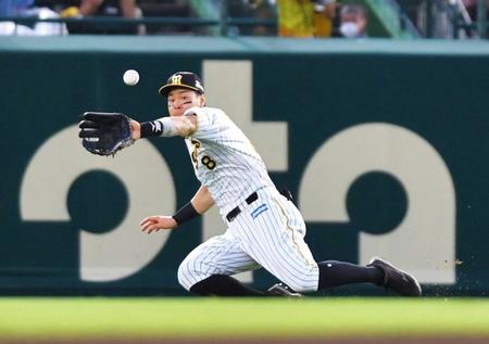 　２回、坂倉の打球を好捕する佐藤輝