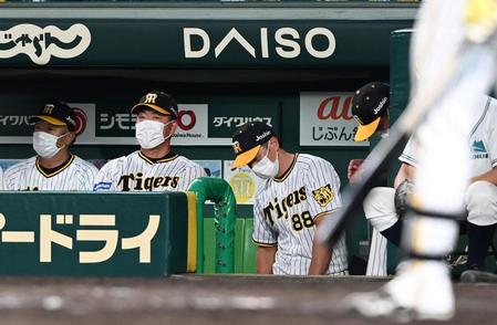 １２回、島田が二盗を失敗し、ベンチで肩を落とす矢野監督（撮影・田中太一）