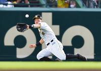 　２回、坂倉の打球を好捕する佐藤輝