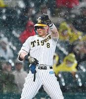 　６回，ベンチに向かって手を上げる佐藤輝（撮影・飯室逸平）