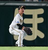 　５回、吉川の打球の目測を誤る近本（撮影・田中太一）