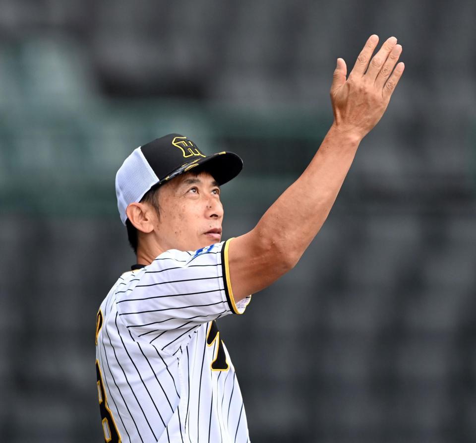 　空を見上げる矢野監督（撮影・山口登）