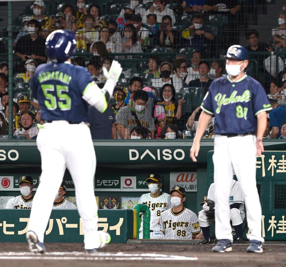 　６回、村上にソロを打たれベンチで渋い表情を見せる矢野監督（中央）＝撮影・山口登