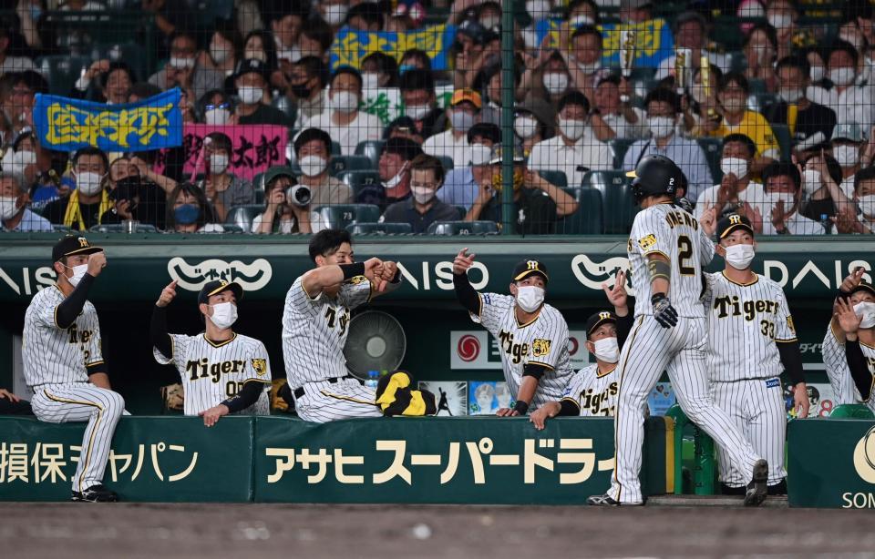 　４回、近本の適時三塁打で生還した梅野を迎えるナイン（撮影・山口登）