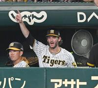 ６回、マルテの勝ち越しタイムリーにベンチで歓喜する阪神・ケラー＝甲子園（撮影・飯室逸平）