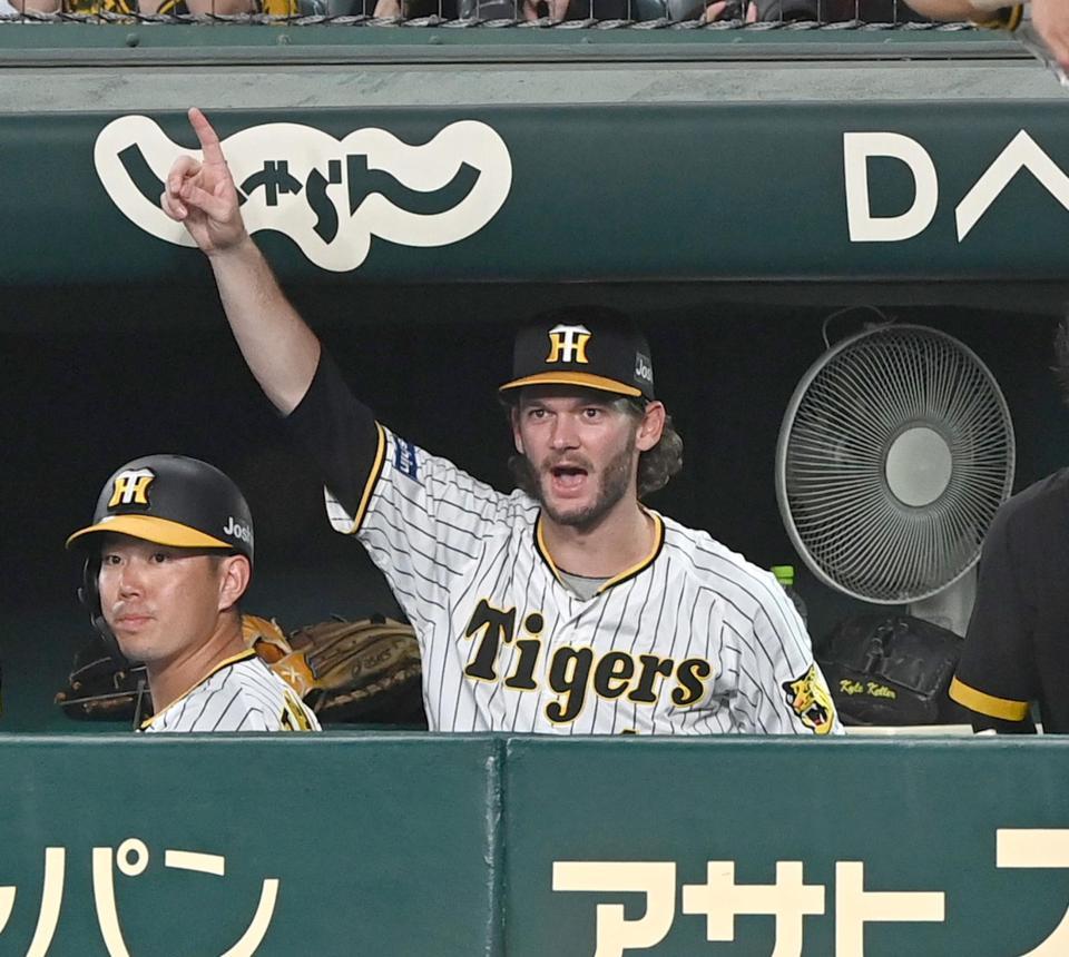 ６回、マルテの勝ち越しタイムリーにベンチで歓喜する阪神・ケラー＝甲子園（撮影・飯室逸平）