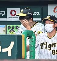 　８回、ベンチで頭を悩ます矢野監督（撮影・飯室逸平）