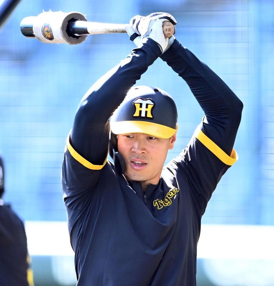 　打撃練習に汗を流す佐藤輝（撮影・飯室逸平）