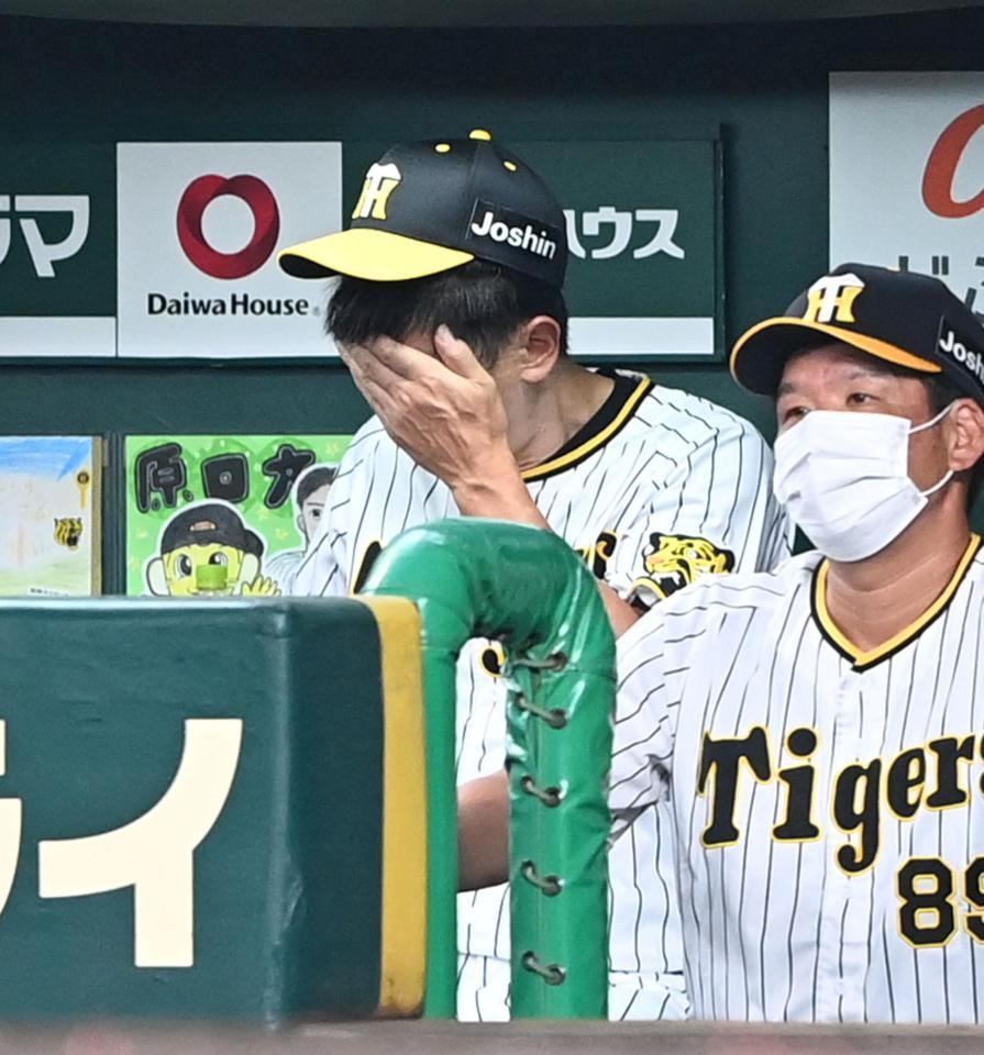 　８回、ベンチで頭を悩ます矢野監督（撮影・飯室逸平）