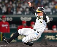 　８回、島田の犠飛で生還する佐藤輝（撮影・田中太一）