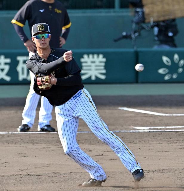 【プロコレ】阪神タイガース　 小幡選手　１軍デビュー年 プロコレ】阪神タイガース 小幡選手 1軍デビュー年 - メルカリ