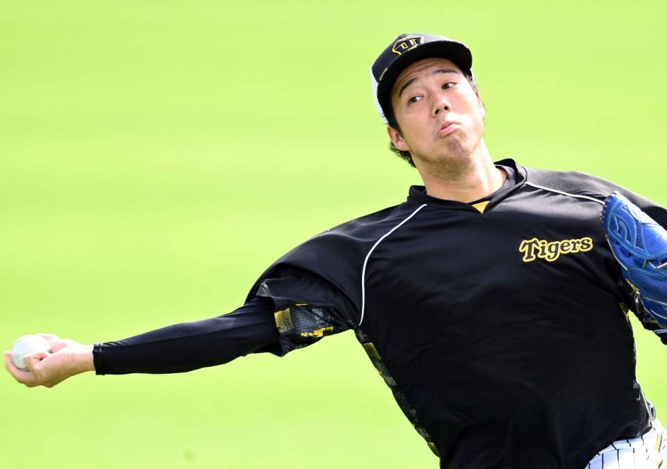 　キャッチボールで調整する青柳（撮影・田中太一）