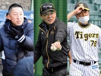 第２次岡田政権 優勝経験者でＶ組閣 平田２軍監督が１軍ヘッド有力 今岡氏の入閣も検討/阪神タイガース/デイリースポーツ online