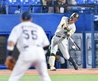 　４回、中前打を放つ佐藤輝（撮影・西岡正）