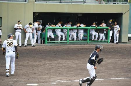 　試合に敗れ落胆する阪神ナイン（撮影・石井剣太郎）