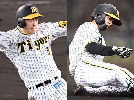 　侍ジャパン入りが内定した近本（左）と中野