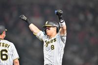 佐藤輝11月強化試合で侍デビュー 豪打アピールで目指すWBC
