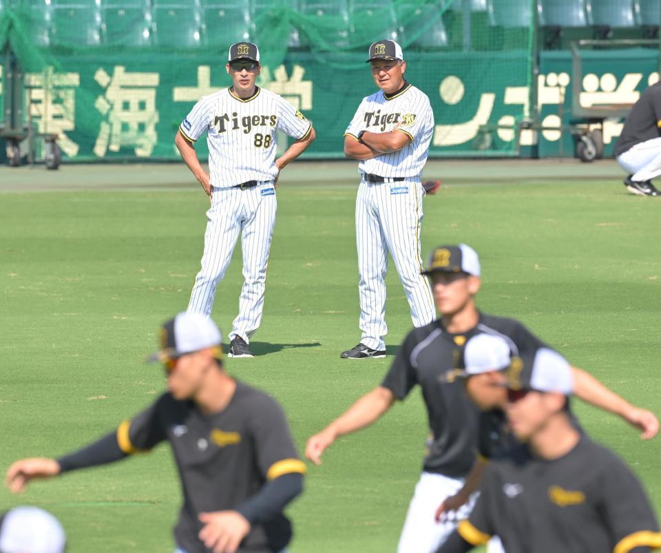　ナインの練習を見守る矢野監督（左奥）＝撮影・高部洋祐