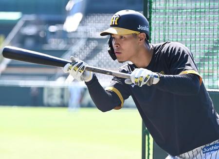 　バント練習をする佐藤輝（撮影・田中太一）