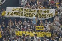 　矢野監督にメッセージを送るライトスタンドの阪神ファン（撮影・高部洋祐）