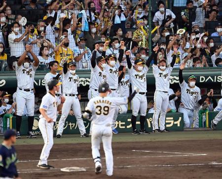 栄枝の同点適時打に阪神ナインはベンチを飛び出し喜ぶ