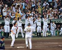 栄枝の同点適時打に阪神ナインはベンチを飛び出し喜ぶ