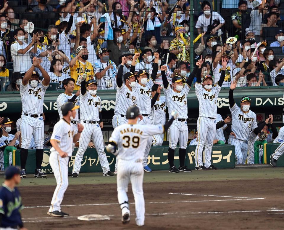 栄枝の同点適時打に阪神ナインはベンチを飛び出し喜ぶ