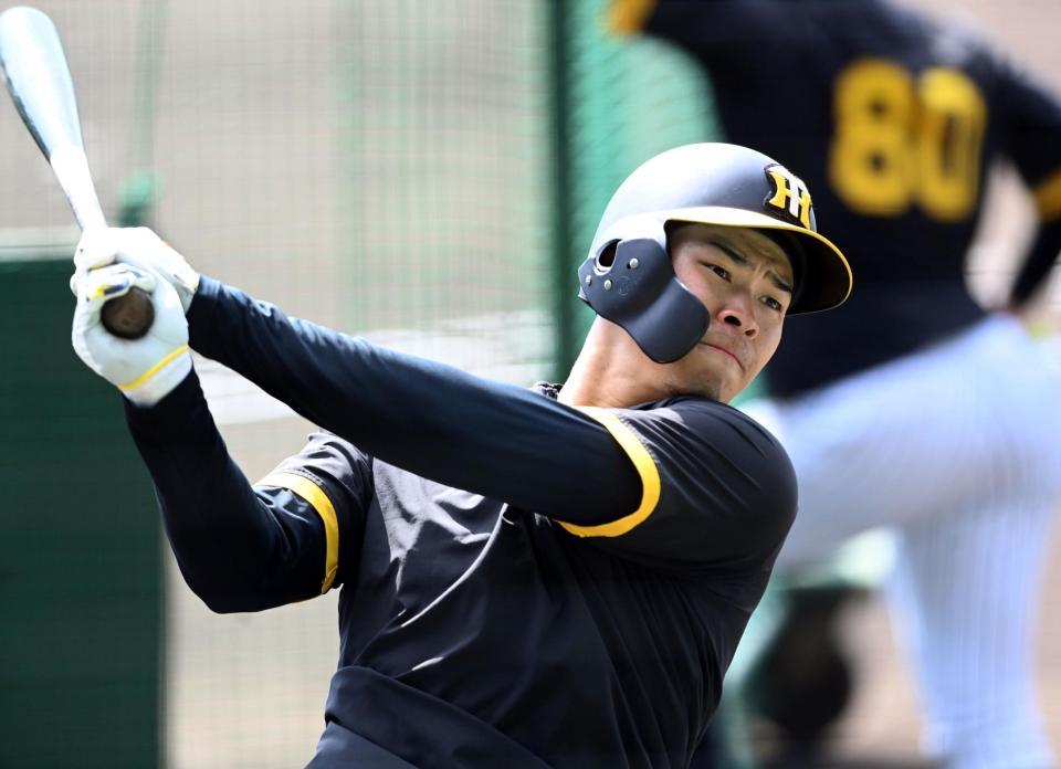 　打撃練習をする佐藤輝（撮影・田中太一）