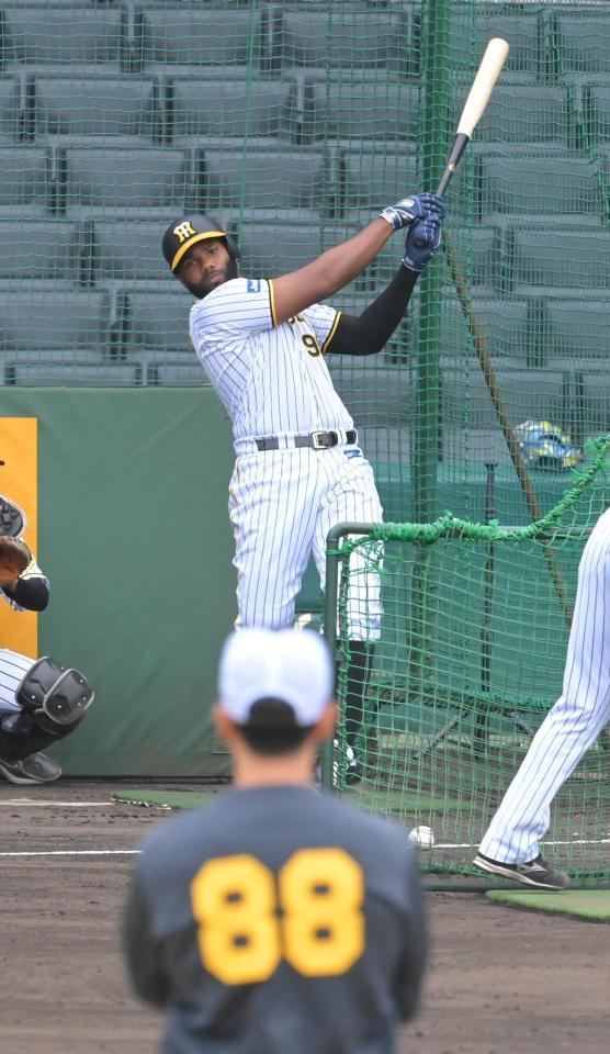 　矢野監督（手前）が見守る中、フリー打撃で快音を響かせるロドリゲス（撮影・高部洋祐）