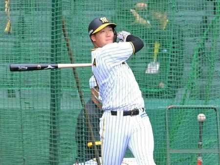 　フリー打撃で快音を響かせる大山（撮影・高部洋祐）