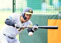 　バント練習する佐藤輝