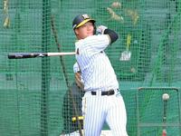 　フリー打撃で快音を響かせる大山（撮影・高部洋祐）