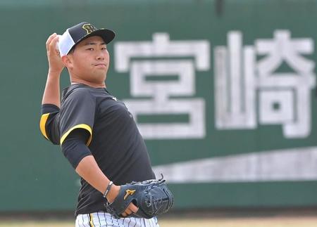 　試合前、キャッチボールする桐敷（撮影・高部洋祐）